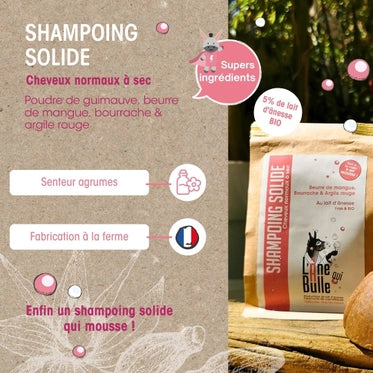 Shampoing Solide à l'Argile Rouge pour cheveux normaux à secs - Lone Bulle